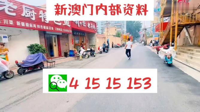 ＂2024澳门天天开好彩大全46期＂的：持续改进策略_外观版5.33