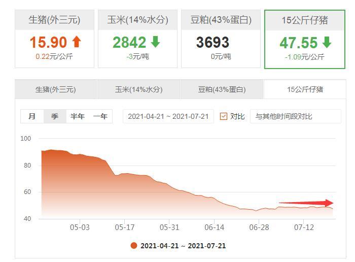 今日猪仔市场行情概览