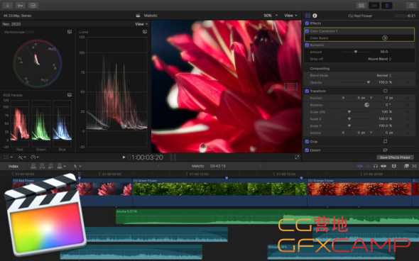 fcpx价格,FCPX价格，一场自然美景之旅的邀请