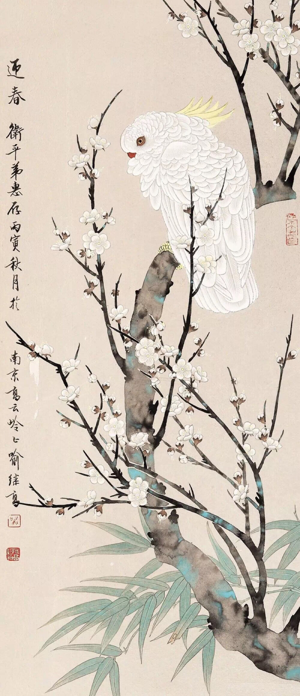 花鸟最新话，时代印记与文化传承的交融展现