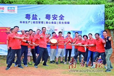 盐业改革最新动态，多维度深度探讨与解析