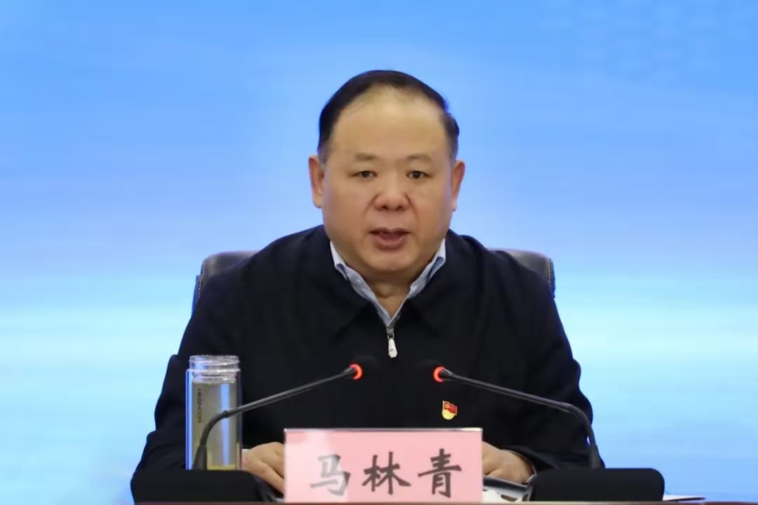 马林青最新动态，时代浪潮中的领航巨擘