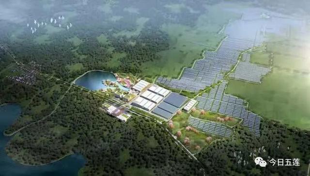 日照五莲最新动态更新，最新资讯一览