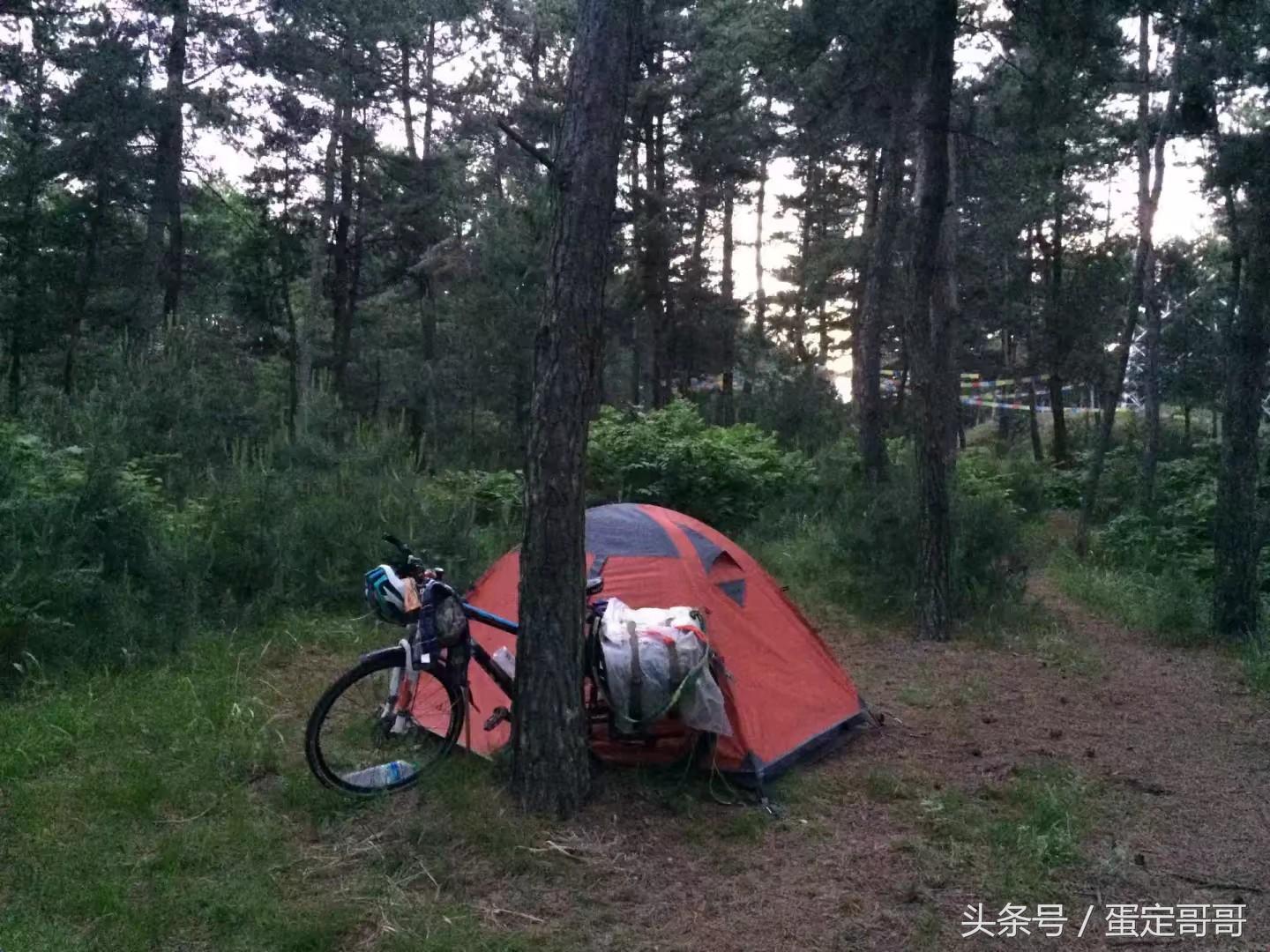 珲春最新地图发布，探索自然美景，寻觅内心平和之旅