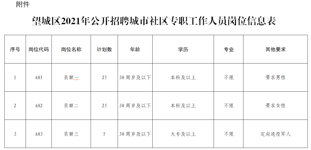 望城最新招聘动态概览