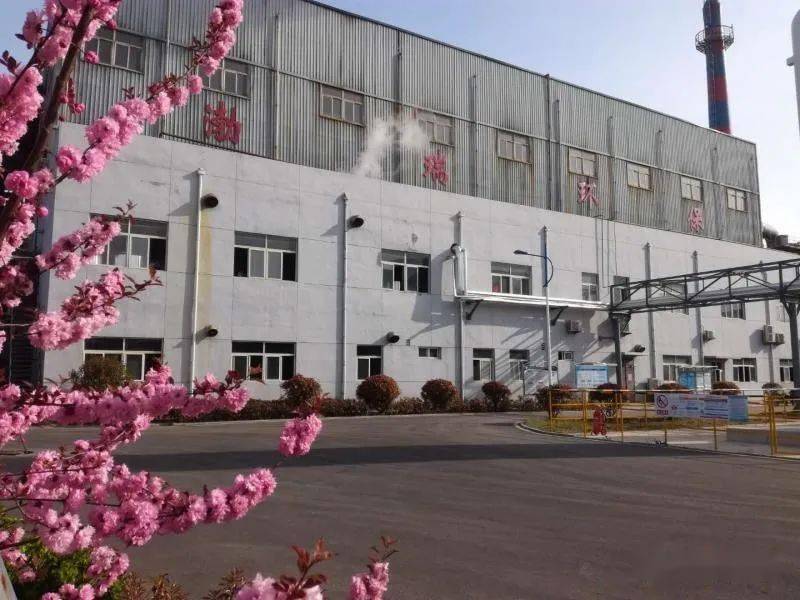新河化工园最新招聘日常趣事概览