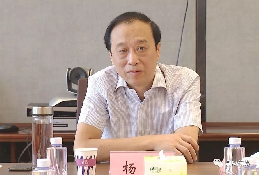 杨易最新之旅，探寻自然之美，重拾心灵宁静