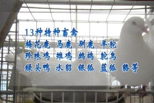 最新禁食目录公布，健康信息必备知晓