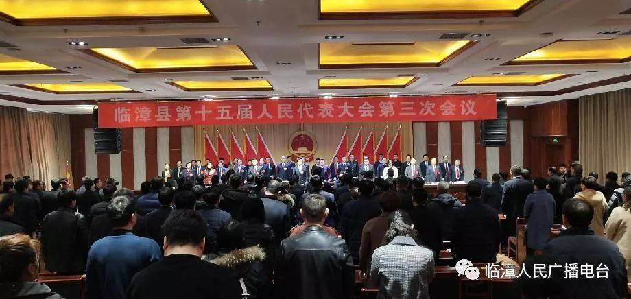 临漳新闻最新动态，城市发展与民生改善同步前行