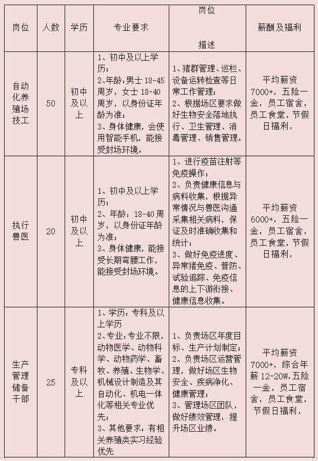 邓州最新招聘信息解析与观点阐述，最新岗位一览