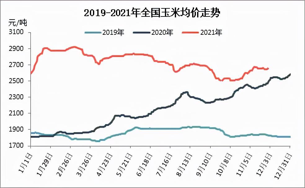 全国玉米最新价格及市场走势分析与预测报告