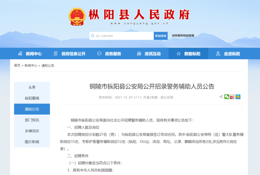 枞阳最新招聘启事，开启职业新征程，把握机遇！