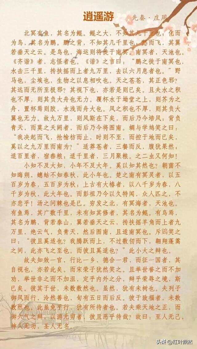 逍遥游最新章节探索与争议阅读