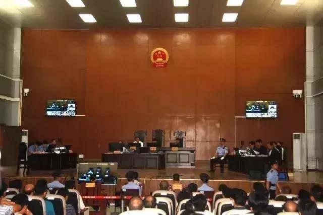 宁思专最新动态更新