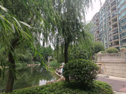汉阳恒大绿洲最新房价动态，变化中的学习与自信的力量