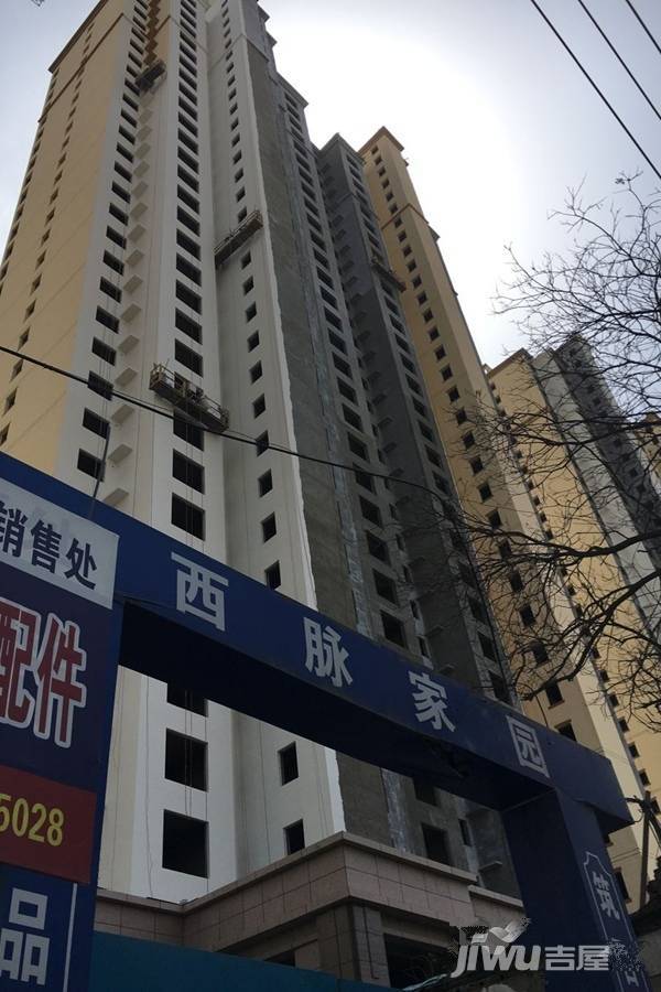 西脉家园最新动态更新